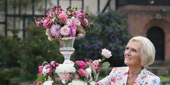 Pink, Floral design, Floristry, Flower, Flower Arranging, Wedding ceremony supply, Plant, Botany, Houseplant, Flowerpot, 