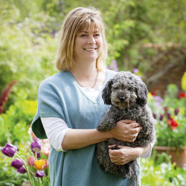 Human, Dog breed, Carnivore, Dog, Mammal, People in nature, Water dog, Jewellery, Garden, Companion dog, 
