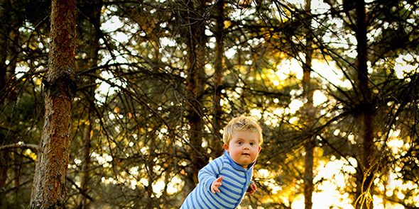 Nature, People in nature, Forest, Baby & toddler clothing, Sunlight, Trunk, Woodland, Toddler, Deciduous, Old-growth forest, 