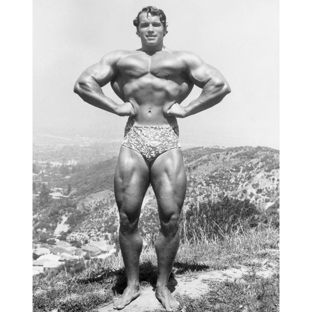 Human leg, Joint, Chest, Bodybuilder, Trunk, Organ, Abdomen, Muscle, Thigh, Stomach, 