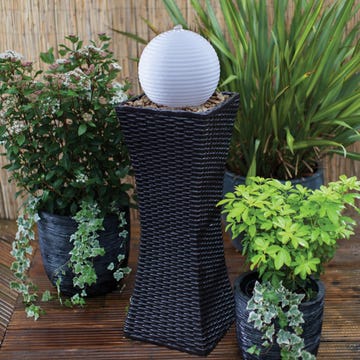 Flowerpot, Hardwood, Interior design, Wood flooring, Herb, Shrub, Laminate flooring, Sphere, Houseplant, Annual plant, 