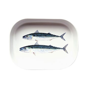 Fish, Fish, Fin, Ray-finned fish, Oily fish, Tail, Mackerel, Bony-fish, Marine biology, 