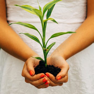 Finger, Green, Leaf, Joint, Botany, Soil, Plant stem, Annual plant, Gesture, Produce, 