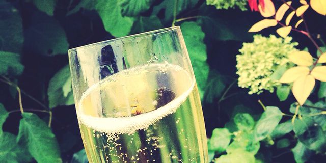 Champagne cocktail, Champagne stemware, Drink, Champagne, Alcoholic beverage, Wine, Stemware, Sparkling wine, Glass, Cocktail, 