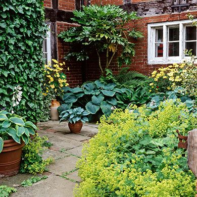 Flowerpot, Window, Plant, Shrub, Garden, Brick, House, Fixture, Backyard, Groundcover, 