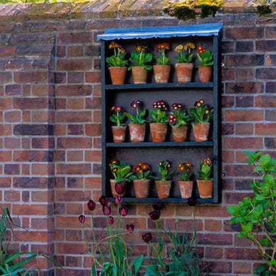 Brick, Wall, Brickwork, Flowerpot, Houseplant, Building material, Herb, Pottery, Bottle, 