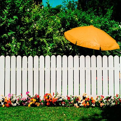 Yellow, Picket fence, Umbrella, Leaf, Home fencing, Shrub, Orange, Garden, Tints and shades, Lawn, 