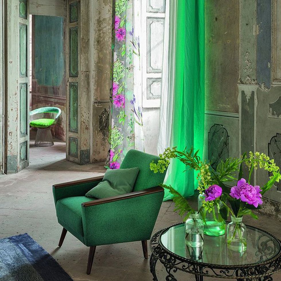 Green, Purple, Flower, Petal, Furniture, Table, Lavender, Violet, Magenta, Interior design, 