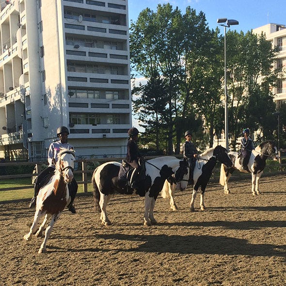 Human, Building, Horse, Street light, Working animal, Halter, Residential area, Condominium, Horse supplies, Apartment, 