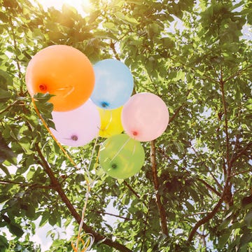 Branch, Balloon, Party supply, Twig, Sunlight, Peach, 