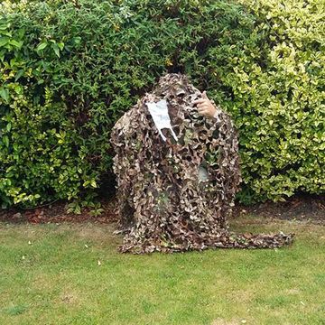 Shrub, Groundcover, Military camouflage, Camouflage, Hedge, Environmental art, Lawn, 