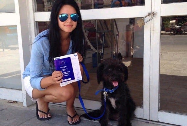 Eyewear, Dog breed, Human, Vision care, Dog, Vertebrate, Mammal, Sunglasses, Carnivore, Sporting Group, 