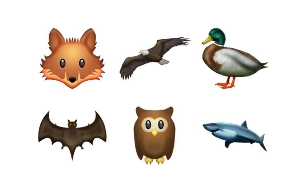 Ducks, geese and swans, Bird, Mallard, Waterfowl, Animation, Water bird, Art, Duck, Teal, Snout, 