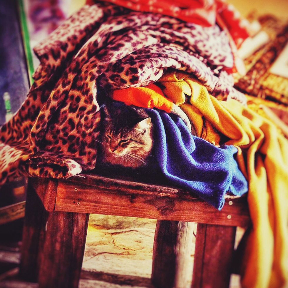 Orange, Textile, Furniture, Art, 