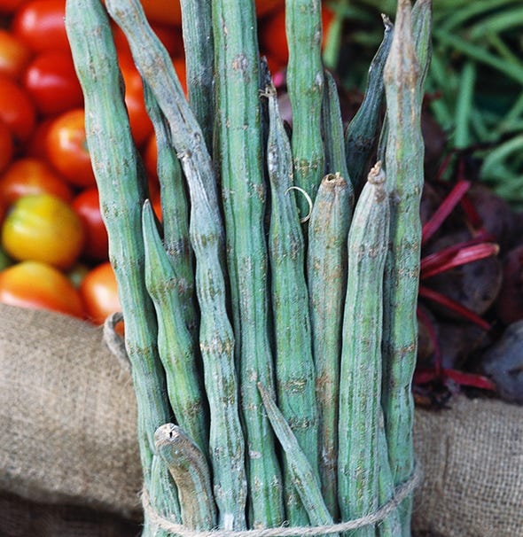 Botany, Terrestrial plant, Whole food, Natural foods, Flowering plant, Vegan nutrition, Produce, Fruit, Plant stem, Local food, 