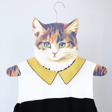 Collar, Vertebrate, Felidae, Small to medium-sized cats, Whiskers, Cat, Carnivore, Neck, Snout, Illustration, 