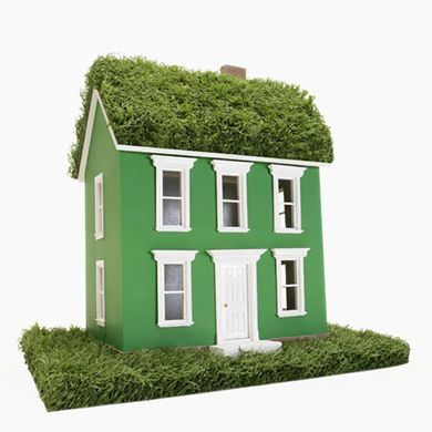 Green, Grass, Property, House, Land lot, Roof, Building, Home, Facade, Real estate, 