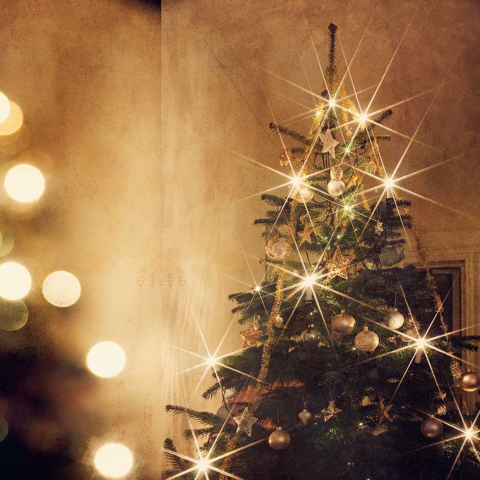 Christmas tree, Christmas decoration, Evergreen, Holiday, Christmas, Tradition, Christmas ornament, Ornament, Christmas eve, Larch, 