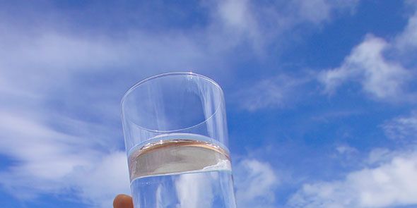 Myth-Busting: How Much Water Should I Drink a Day?