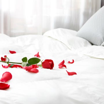 Red, Bed sheet, Textile, Room, Plant, Petal, Linens, Bedding, Flower, Furniture, 