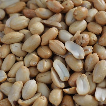 Food, Nuts & seeds, Plant, Seed, Ingredient, Produce, Vegetarian food, Nut, Legume, Cuisine, Food, Nuts & seeds, Plant, Seed, Ingredient, Produce, Vegetarian food, Nut, Legume, Cuisine,