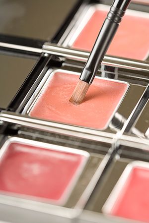 Red, Paint, Carmine, Cosmetics, Peach, Tints and shades, Material property, Brush, Paint brush, Eye shadow, 