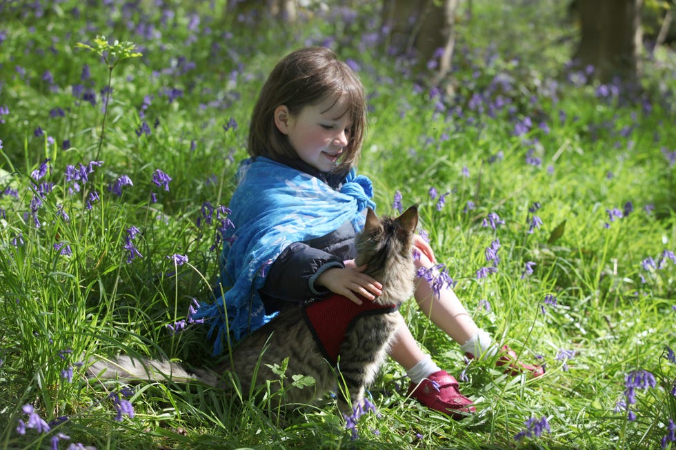 Grass, People in nature, Child, Wildflower, Meadow, Spring, Toddler, Groundcover, Grassland, Grass family, 
