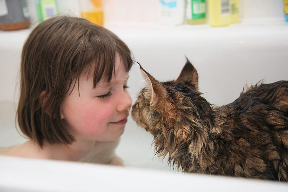 Skin, Iris, Organ, Bird, Tooth, Brown hair, Fur, Owl, Bathing, 