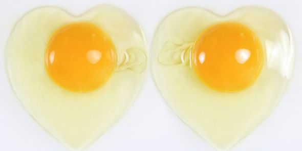 Yellow, Egg yolk, Ingredient, Egg white, Orange, Serveware, Breakfast, Egg, Egg, Kitchen utensil, 