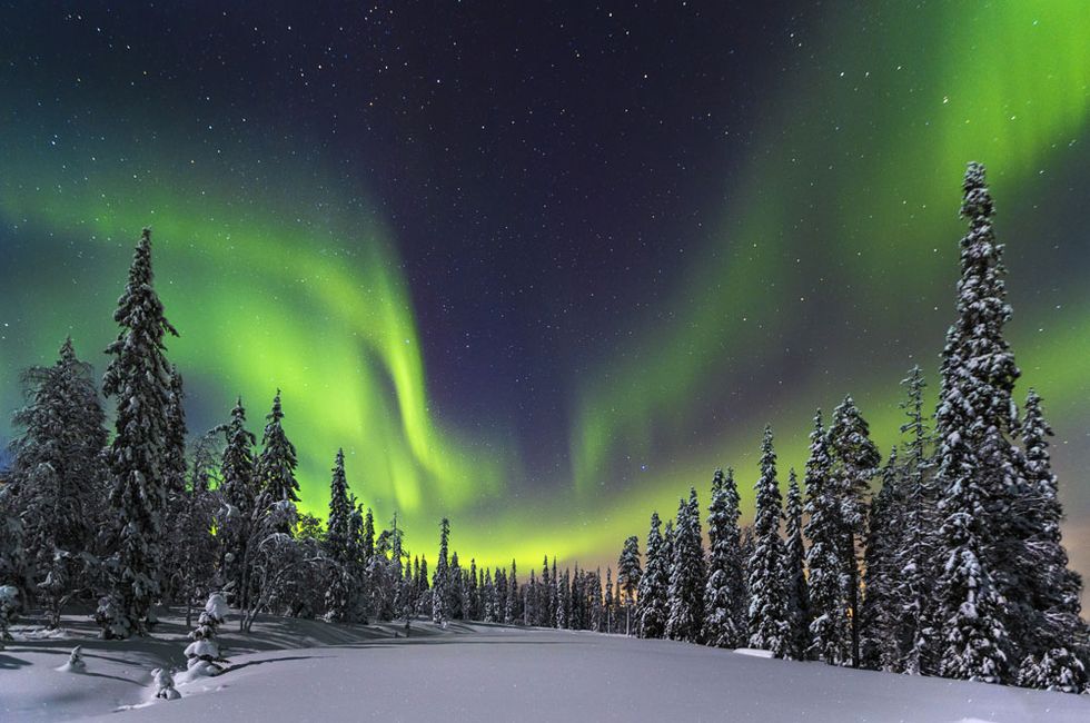 Green, Aurora, Night, Winter, Woody plant, Space, Star, Spruce-fir forest, Freezing, Snow, 