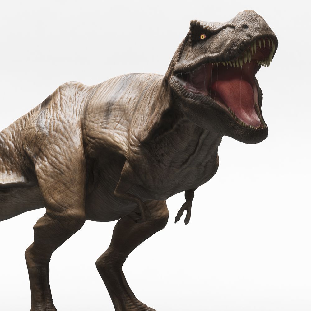 How do we know what dinosaurs looked like? | Popular Science