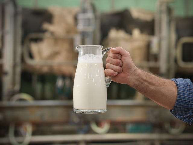 Drink, Ingredient, Glass, Plant milk, Milk, Chemical compound, Raw milk, Solution, Limeade, Fizz, 