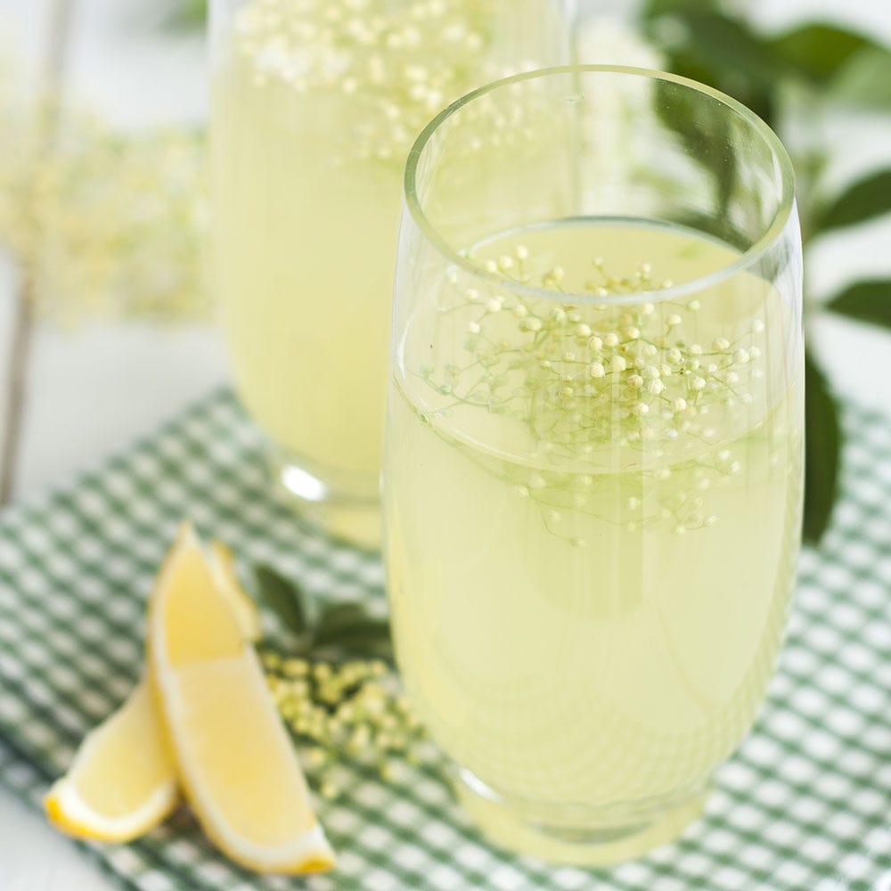 elderflower-cordial