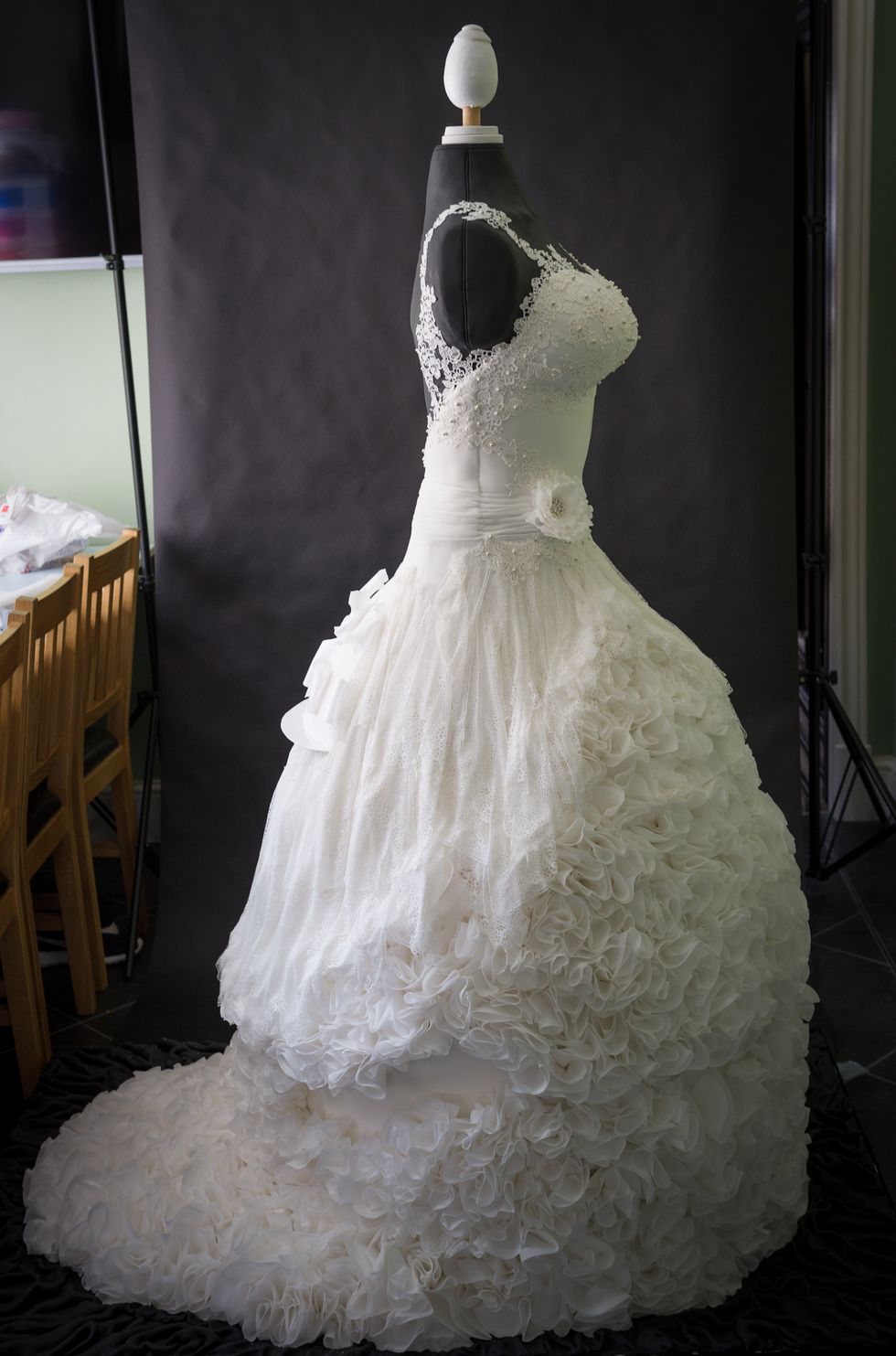 Clothing, Dress, Bridal clothing, Shoulder, Textile, Gown, Wedding dress, White, Formal wear, Bridal accessory, 