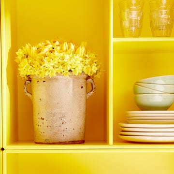 Yellow, Serveware, Dishware, Flower, Artifact, Amber, Interior design, Porcelain, Petal, Ceramic, 