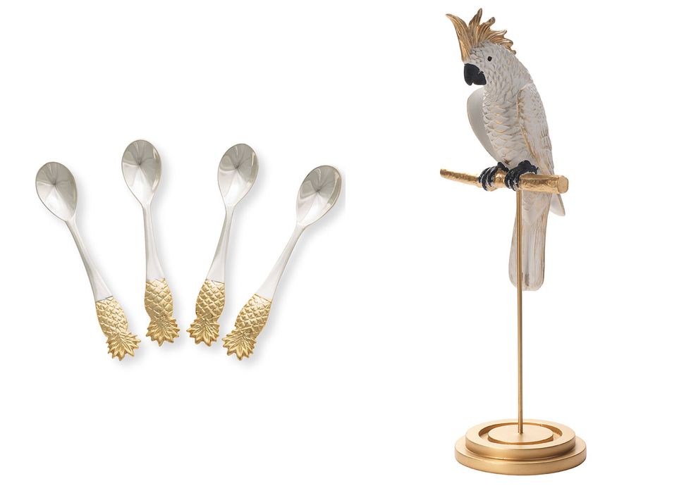 Natural material, Beige, Metal, Feather, Kitchen utensil, Silver, Cutlery, Fish, Ray-finned fish, Tail, 