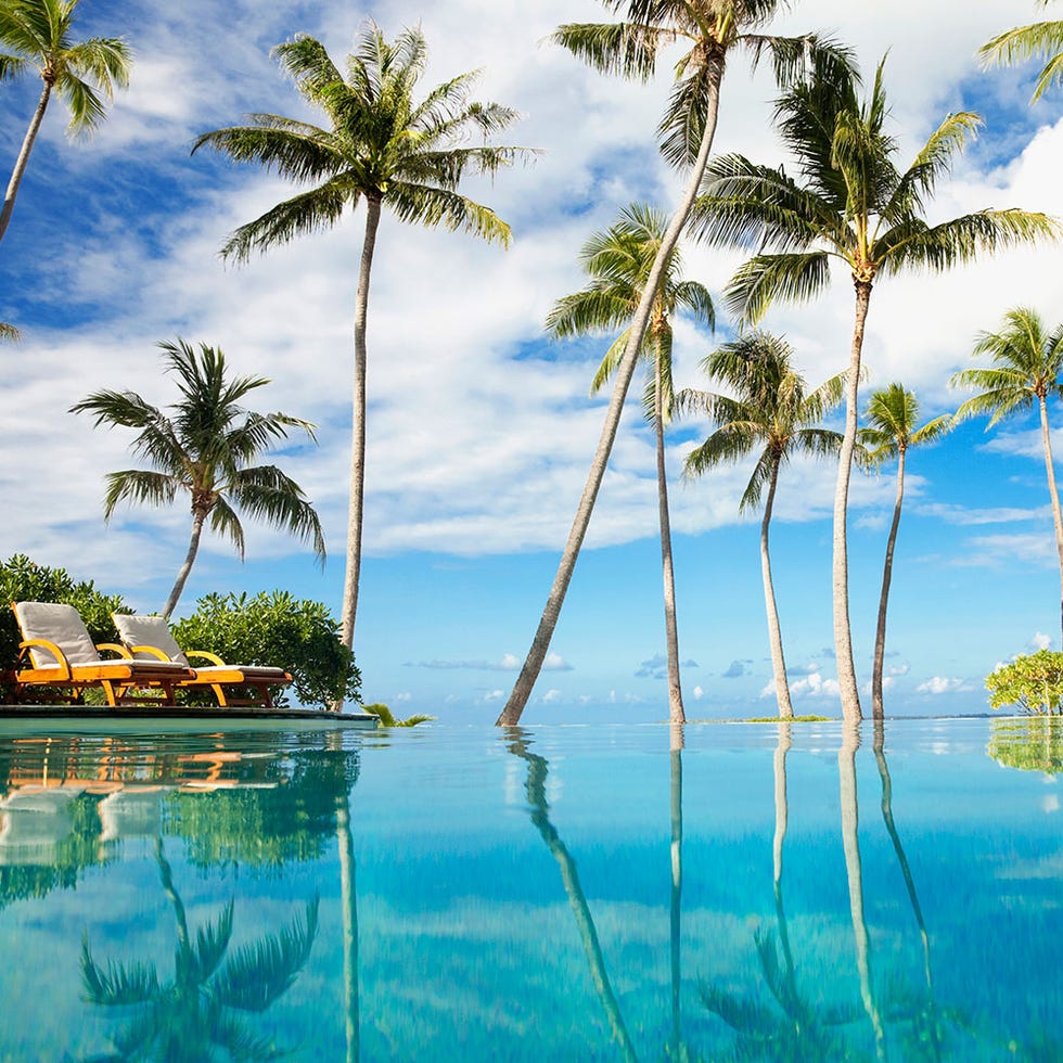 Body of water, Cloud, Tree, Arecales, Tropics, Woody plant, Ocean, Caribbean, Resort, Aqua, 