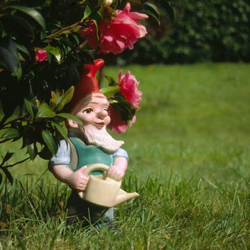 Toy, Petal, Pink, Sculpture, Lawn ornament, Figurine, Shrub, Garden, Fictional character, Meadow, 