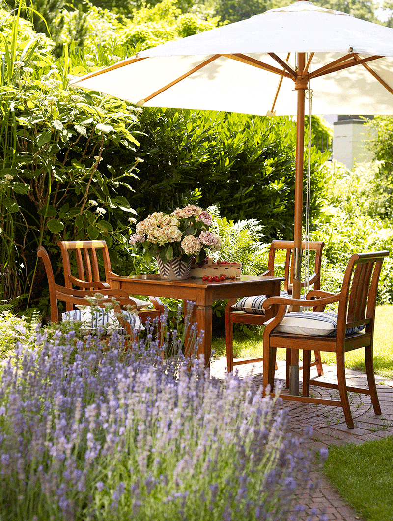 Plant, Furniture, Chair, Lavender, Garden, Outdoor table, Shade, Lavender, Outdoor furniture, Groundcover, 