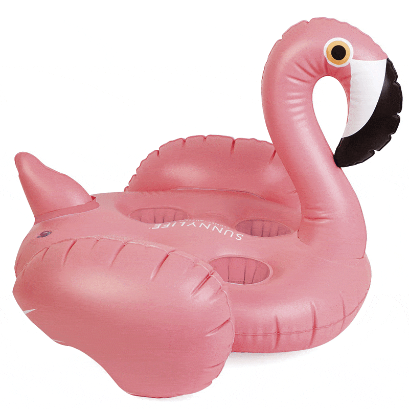 Organism, Vertebrate, Red, Pink, Snout, Bird, Coquelicot, Inflatable, Water bird, 