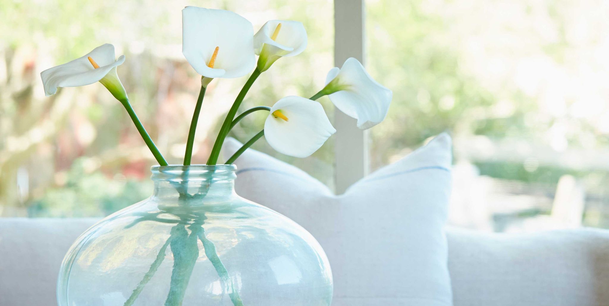White, Yellow, Table, Flower, Room, Plant, Vase, Furniture, Houseplant, Interior design, 