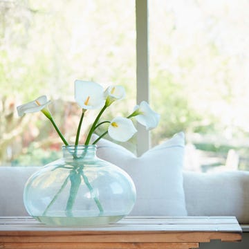 White, Yellow, Table, Flower, Room, Plant, Vase, Furniture, Houseplant, Interior design, White, Yellow, Table, Flower, Room, Plant, Vase, Furniture, Houseplant, Interior design,