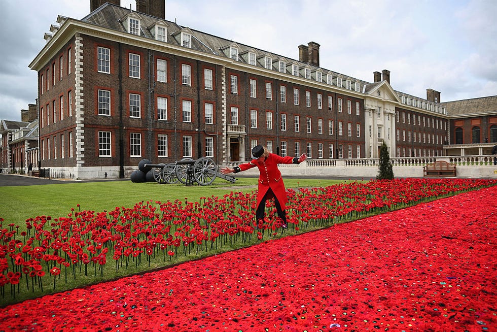 Petal, Plant, Window, Flower, Red, Garden, Landmark, Carmine, Groundcover, Palace, 