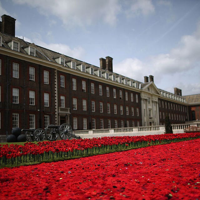 Window, Petal, Red, Flower, Carmine, Groundcover, Garden, Annual plant, Coquelicot, Campus, 