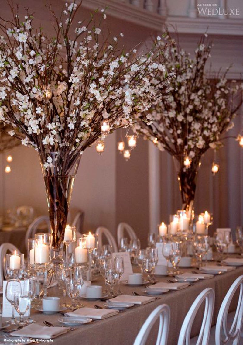 Tablecloth, Branch, Stemware, Twig, Decoration, Dishware, Function hall, Glass, Linens, Centrepiece, 