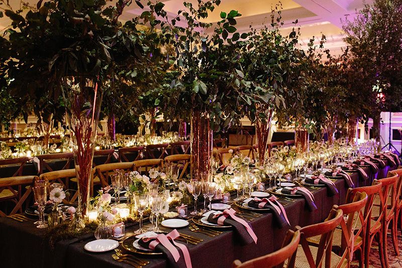 Purple, Restaurant, Function hall, Magenta, Lavender, Violet, Tablecloth, Banquet, Arecales, Resort, 