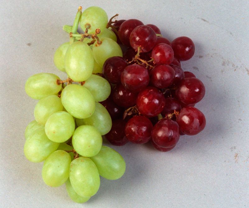 Seedless fruit, Fruit, Natural foods, Produce, Food, Grapevine family, Grape, Whole food, Local food, Berry, 