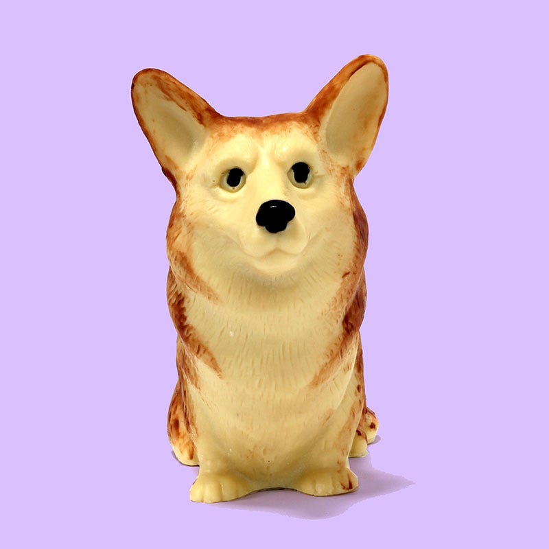 Carnivore, Vertebrate, Dog breed, Dog, Snout, Toy, Dog supply, Fawn, Pet supply, Canidae, 