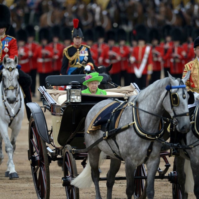 Human, Halter, Bridle, People, Horse supplies, Rein, Horse harness, Vertebrate, Carriage, Horse, 