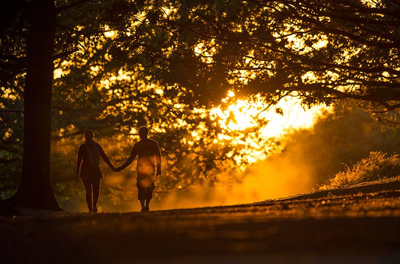 Human, Branch, People in nature, Deciduous, Sunlight, Amber, Heat, Interaction, Light, Backlighting, 